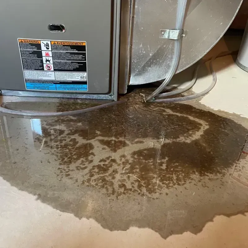 Appliance Leak Cleanup in Saint Charles, MN